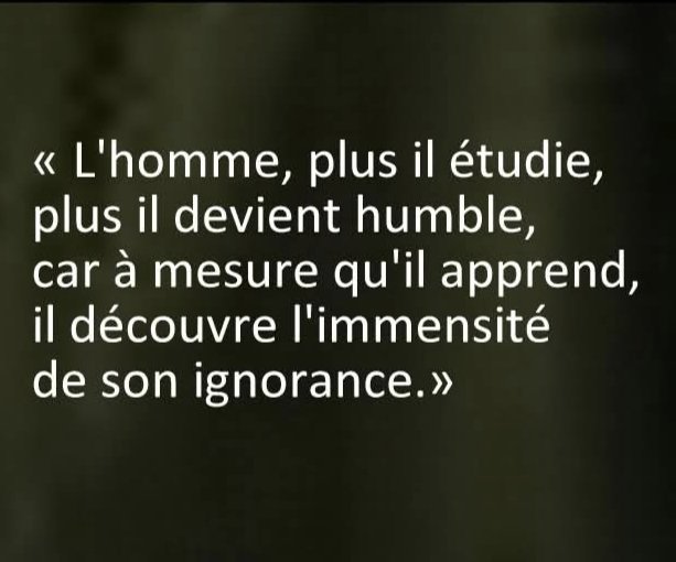 Sagesse Pure tweet media