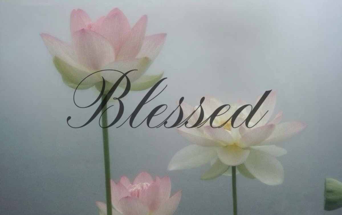 ଘ(੭*ˊᵕˋ)੭* ੈ♡‧₊˚ tweet media