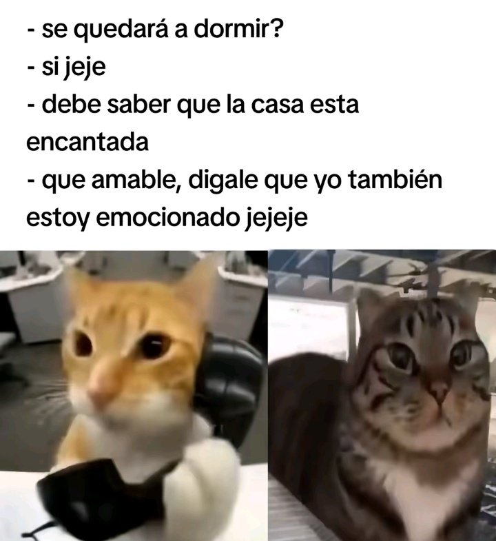 Maestre Mapaxito tweet media