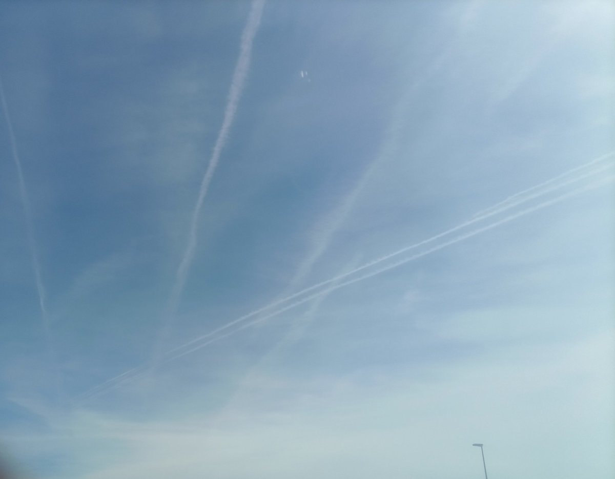 sinvalores tweet media