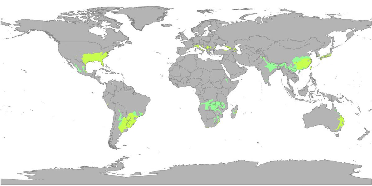 🌇レッセンス🌆 tweet media