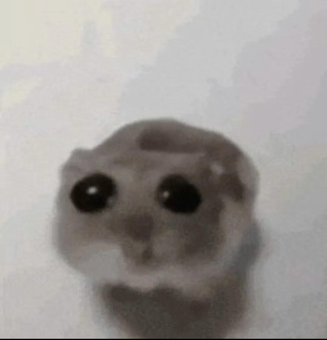 ‍ ‍ ‍ ‍ ‍ ‍ ‍ ‍ ‍ ‍𝓸ceanic 𝓸peretta. ‍ˎˊ˗ ‍ ‍ ‍ tweet media