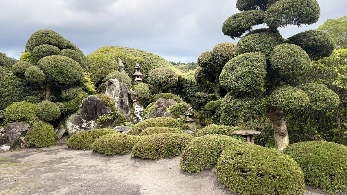 KEPI さま🧸🌈✈️ tweet media