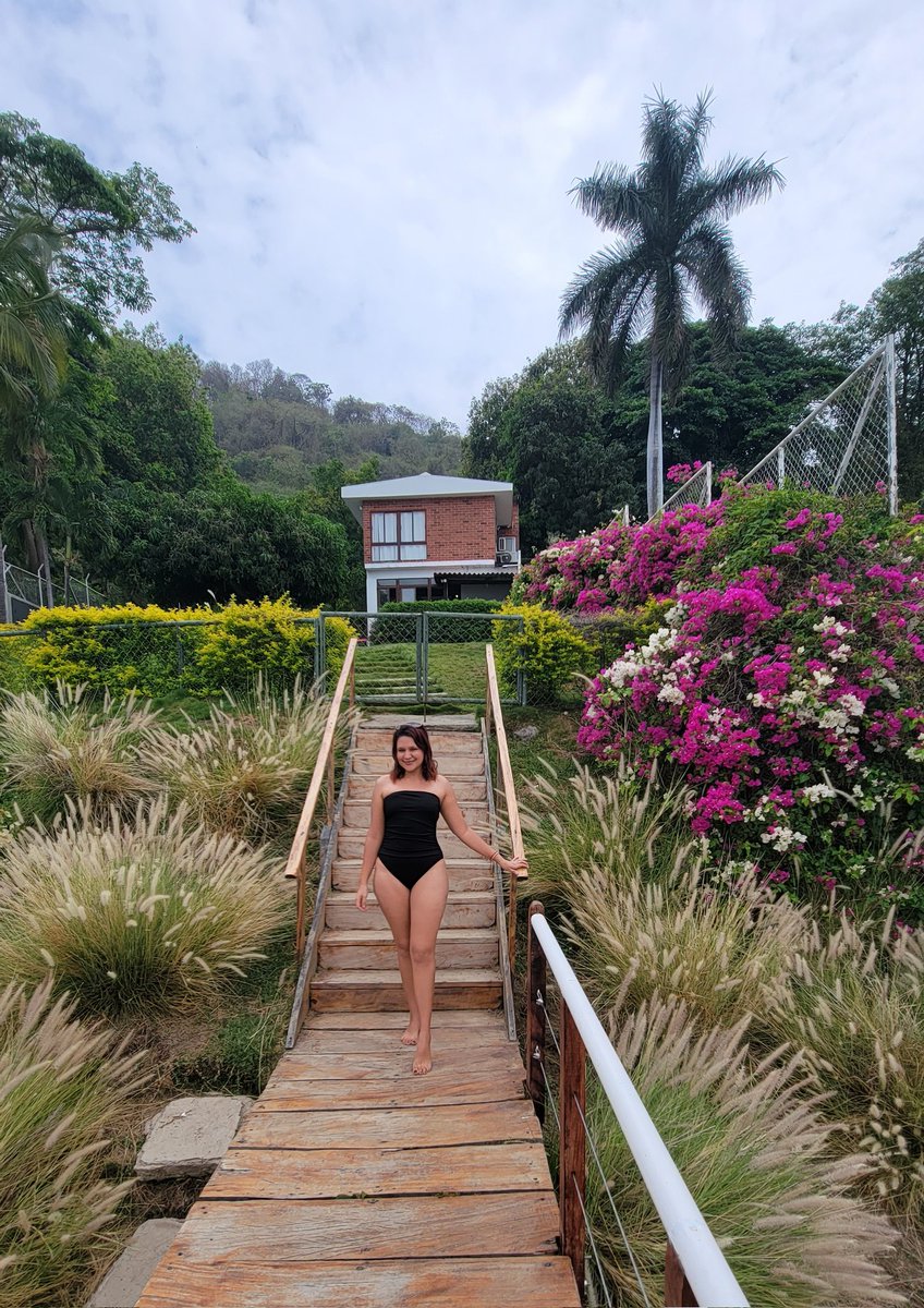 🌺🍃