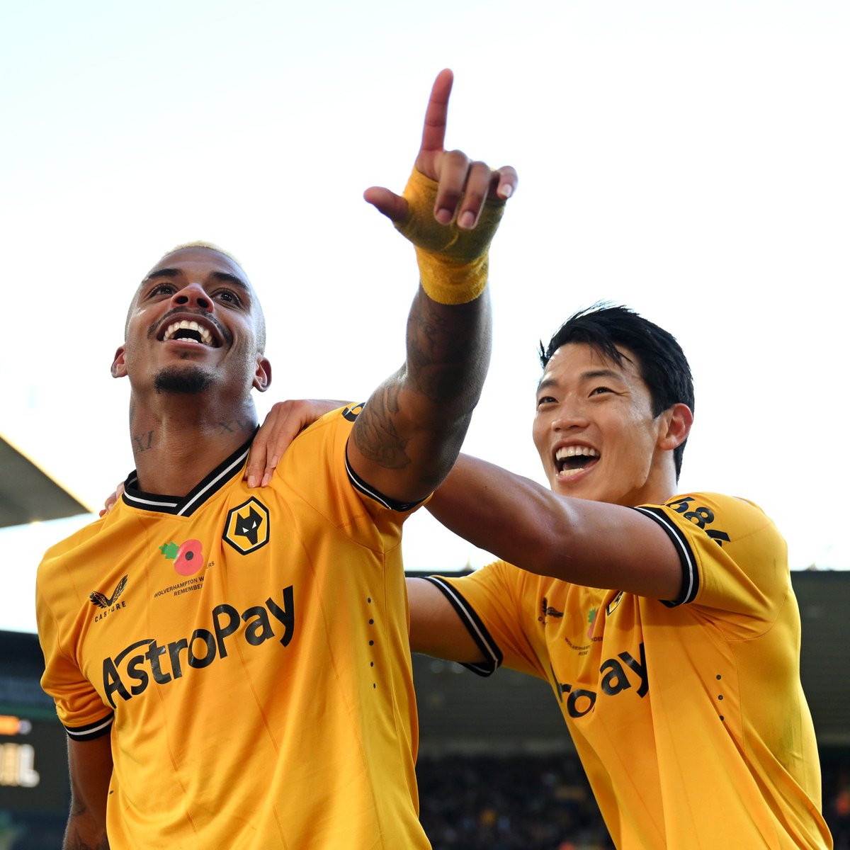 Wolves Actu France 🐺🇫🇷 tweet media