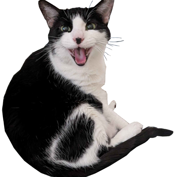 ♱ izzy ♱ tweet media