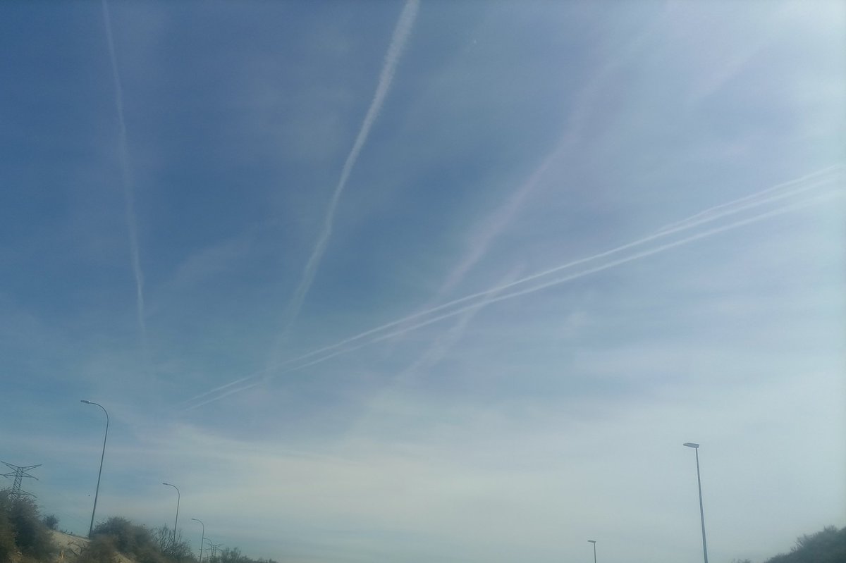 sinvalores tweet media