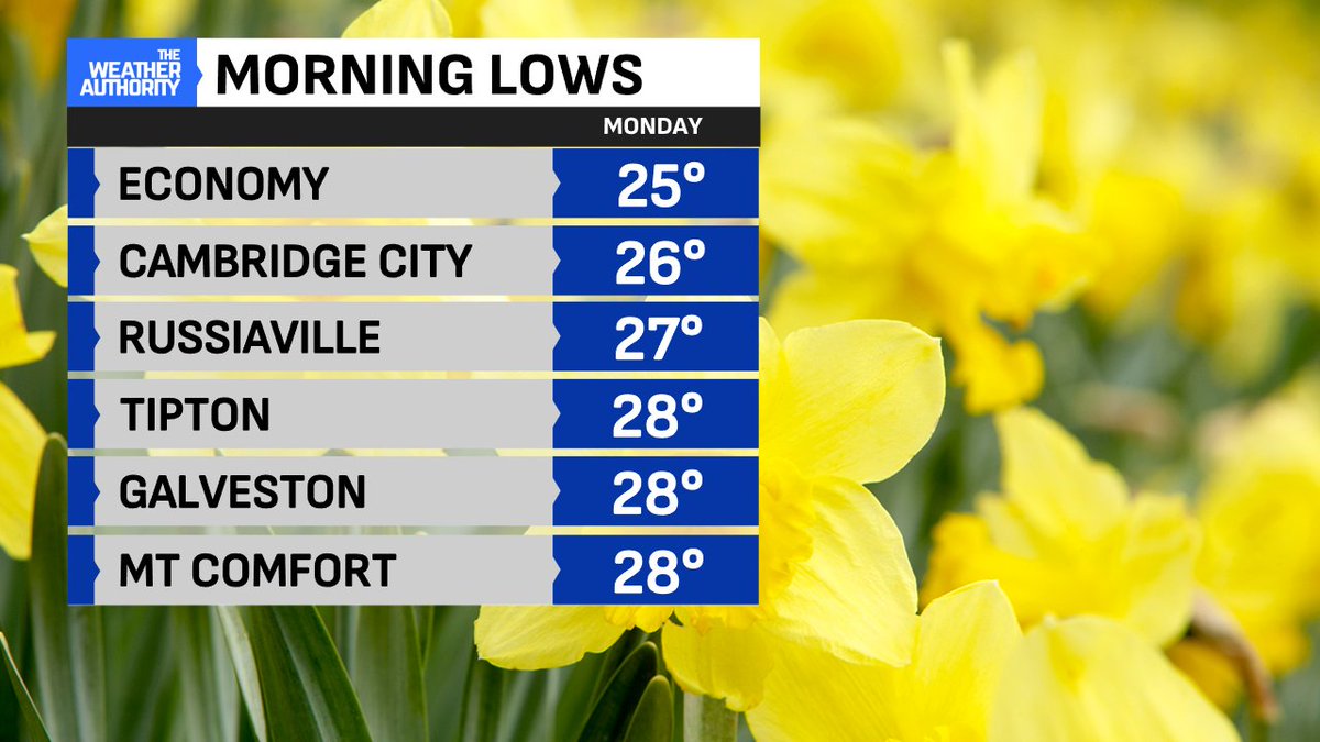 BrianWilkes59wx's tweet image. COLDEST morning in two weeks with a hard freeze outlying Monday morning. Coldest 25° in Economy (Wayne Co). Low 34° #Indianapolis is 11° below normal (45°)