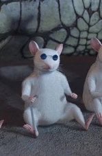 kk ᢉ𐭩 tweet media