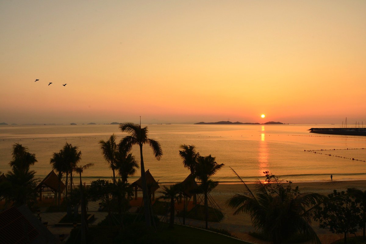 Mark Schneuer tweet media