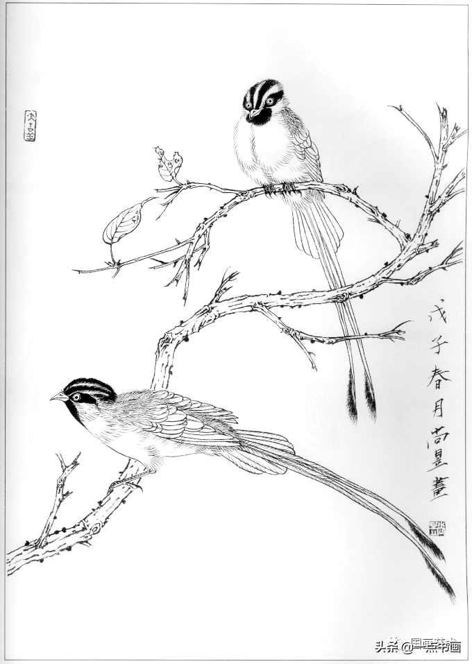 Christopher Starks tweet media