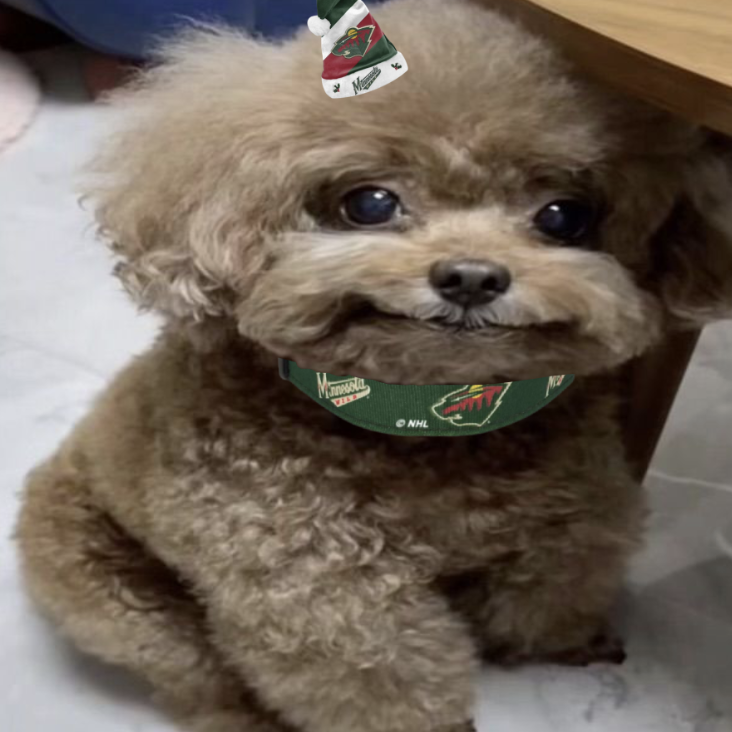 beepuut's tweet image. more for the #luck