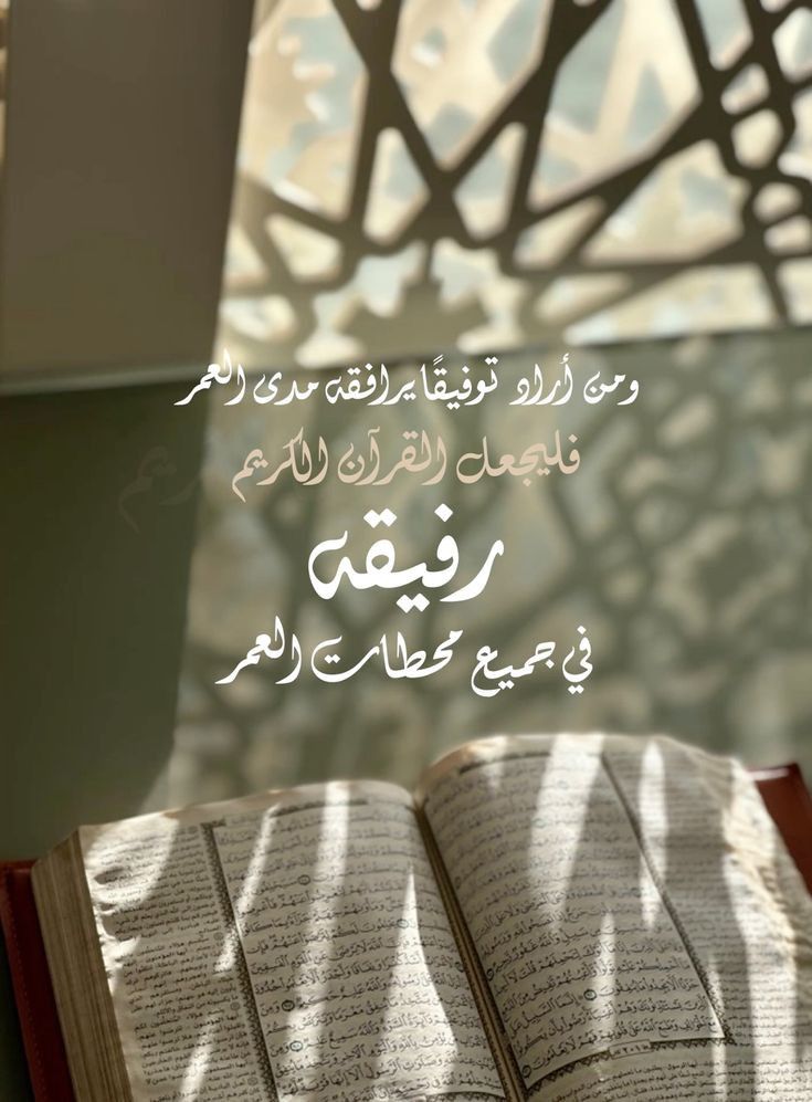 حليمة💚🦋 tweet media