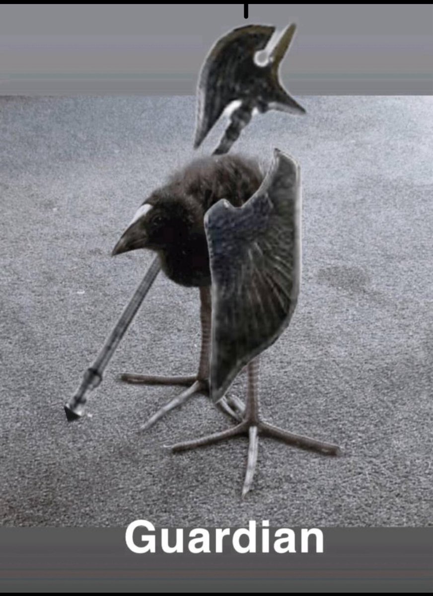 3aabr_asvelt (عابر) tweet media