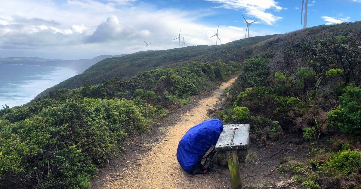 Australian Hiker tweet media