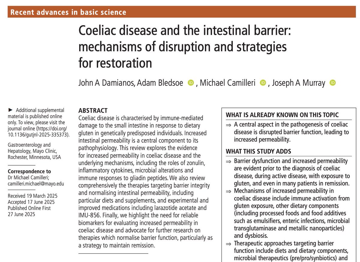 Gut_BMJ's tweet photo. Damianos et al. presents the #GUTRecentAdvancesInBasicScience paper entitled “Coeliac disease and the intestinal barrier: mechanisms of disruption and strategies for restoration” via https://t.co/eMb5aMkGCu 

Barrier dysfunction is central to coeliac disease. This review brings together current understanding of underlying mechanisms and explores emerging therapeutic strategies aimed at restoring intestinal integrity.

#CoeliacDisease @john_damianosMD @AdamBledsoeMD