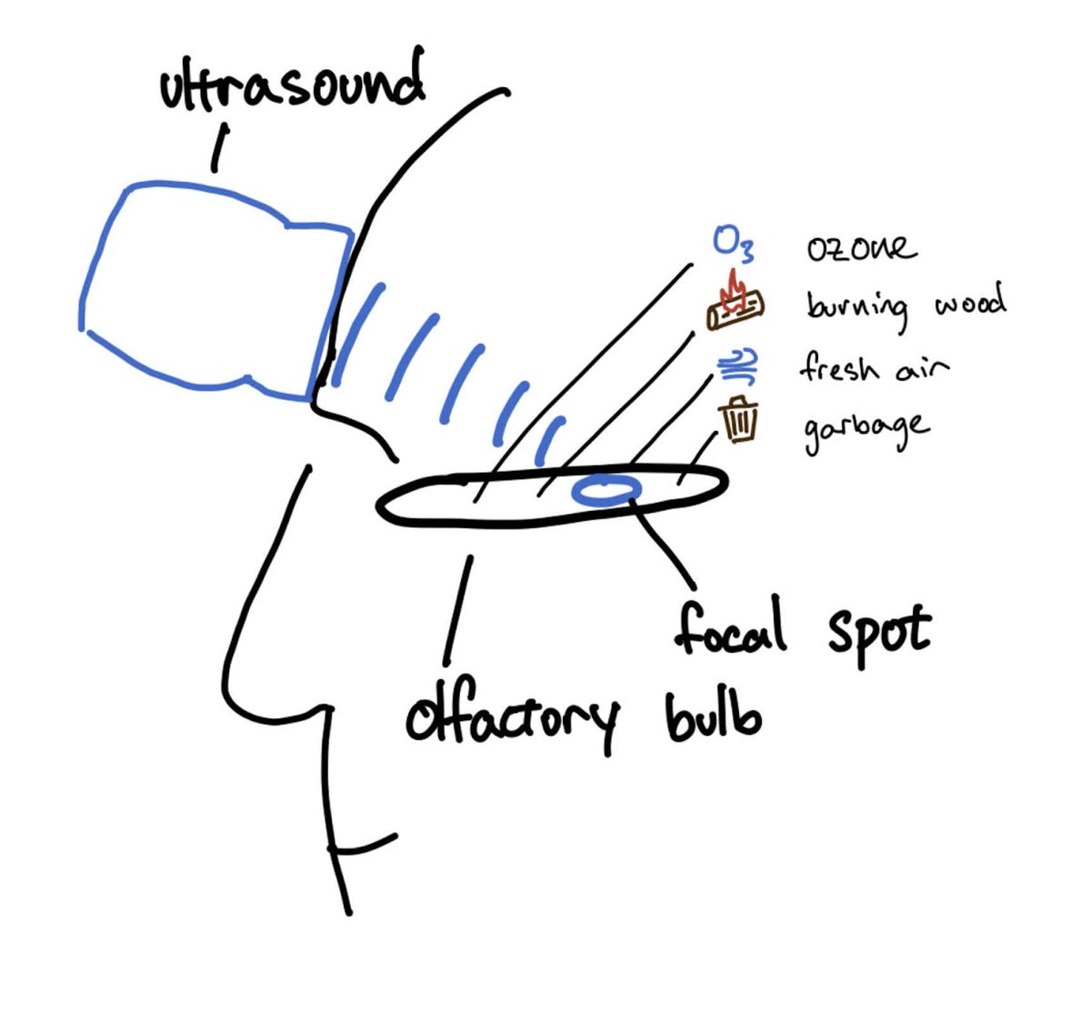 Pirat_Nation's tweet image. Researchers have created a new device that uses ultrasound to trigger smells directly in the brain for VR 

The small device rests on the forehead with a soft gel pad. It sends gentle sound waves through the skull to the area of the brain that processes smell. 

Current VR smell