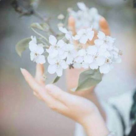 هيـــونه 🇸🇦 tweet media