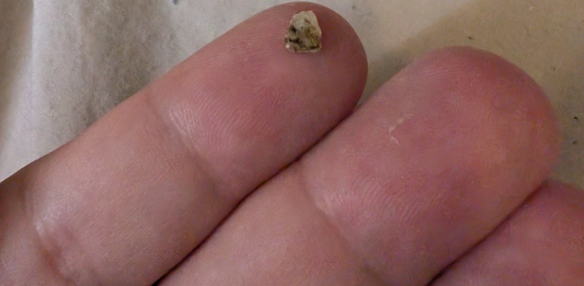 Rhi Ruben tweet media