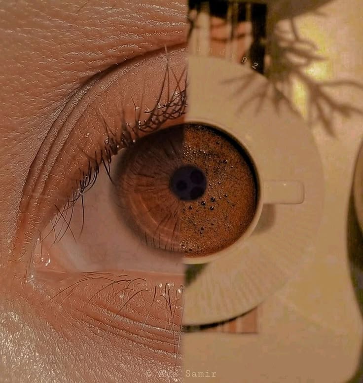 حكايا برتقال 🍊 tweet media