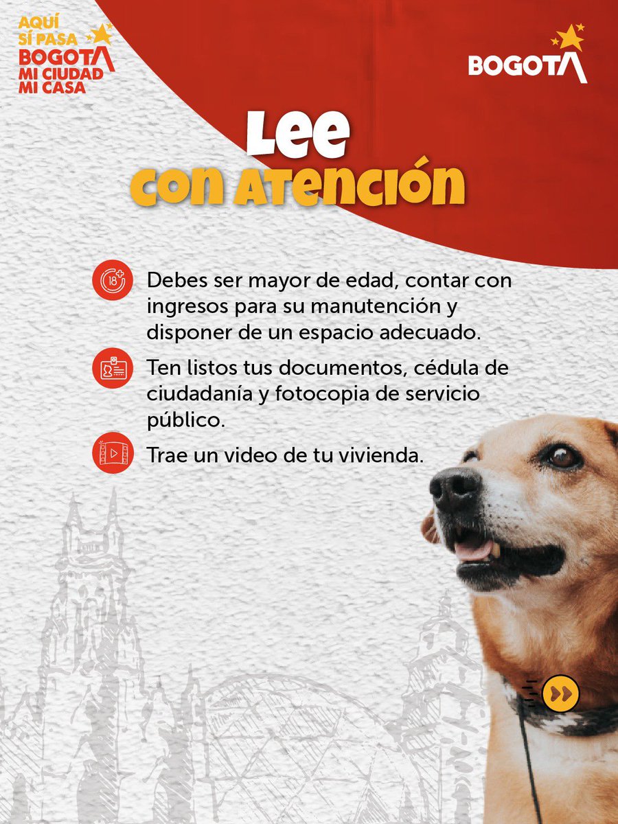AnimalesBOG's tweet photo. Este sábado es la gran jornada de adopción en @mundoaventura7, donde perros y gatos rescatados quieren dejar huella en tu vida y tu corazón. ¡Ven y adopta!🐶😽💕

📅 SÁBADO 25 DE ABRIL
📍 Parque Mundo Aventura
🕔 10 a.m. a 5 p.m.

¡Adoptar es amar sin condiciones! https://t.co/LdlfACjH7p
