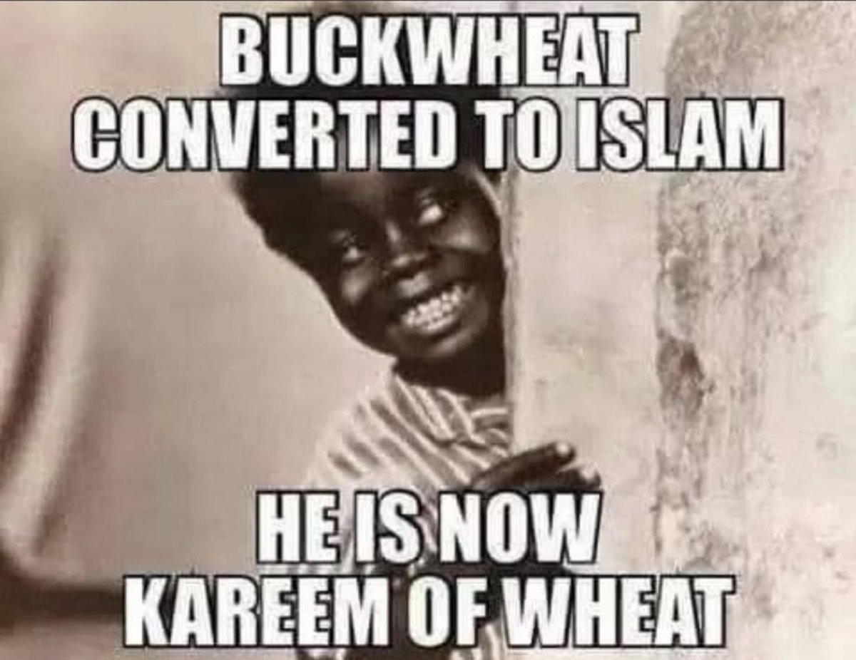 Monkeyjunk11 tweet media