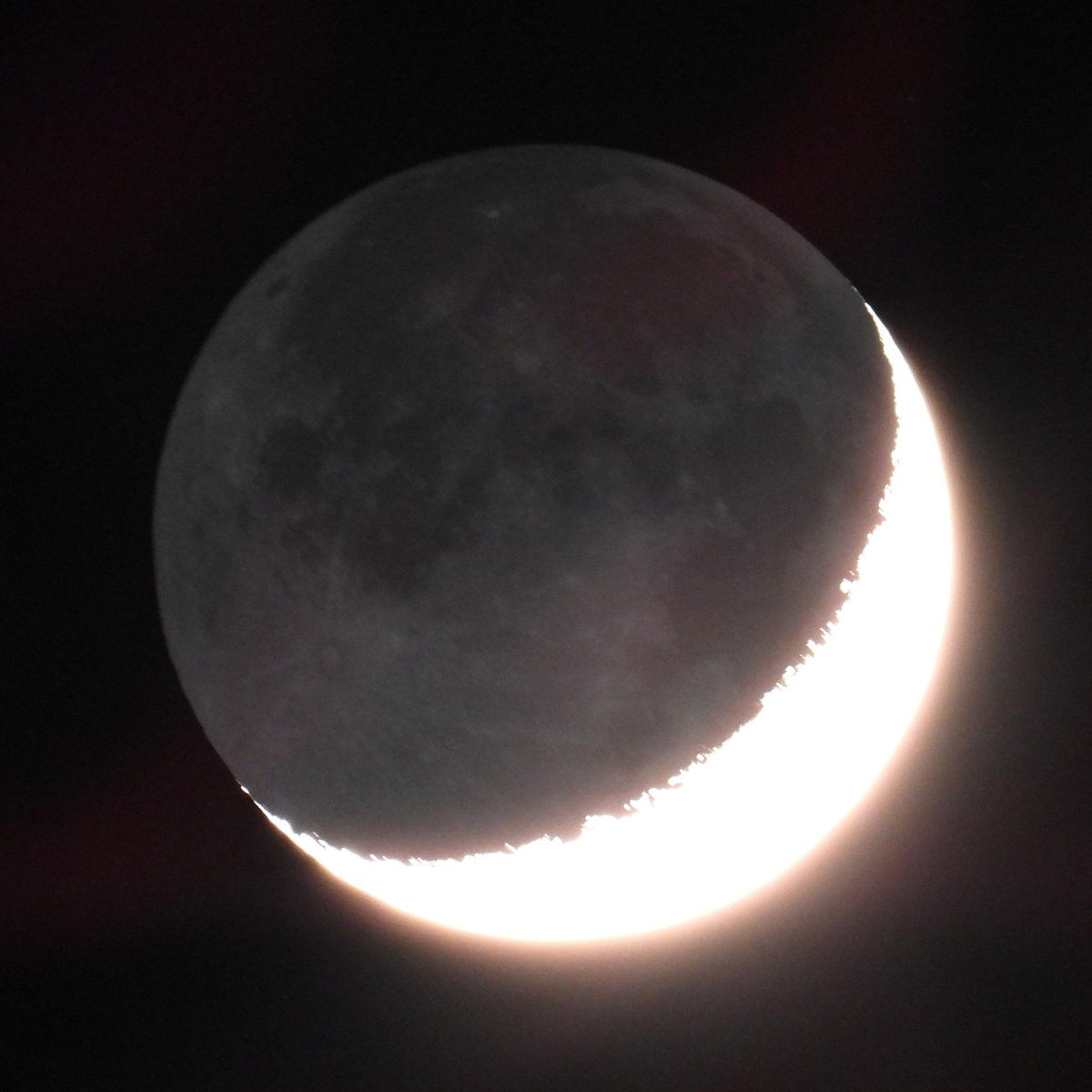 Epiphany tweet media