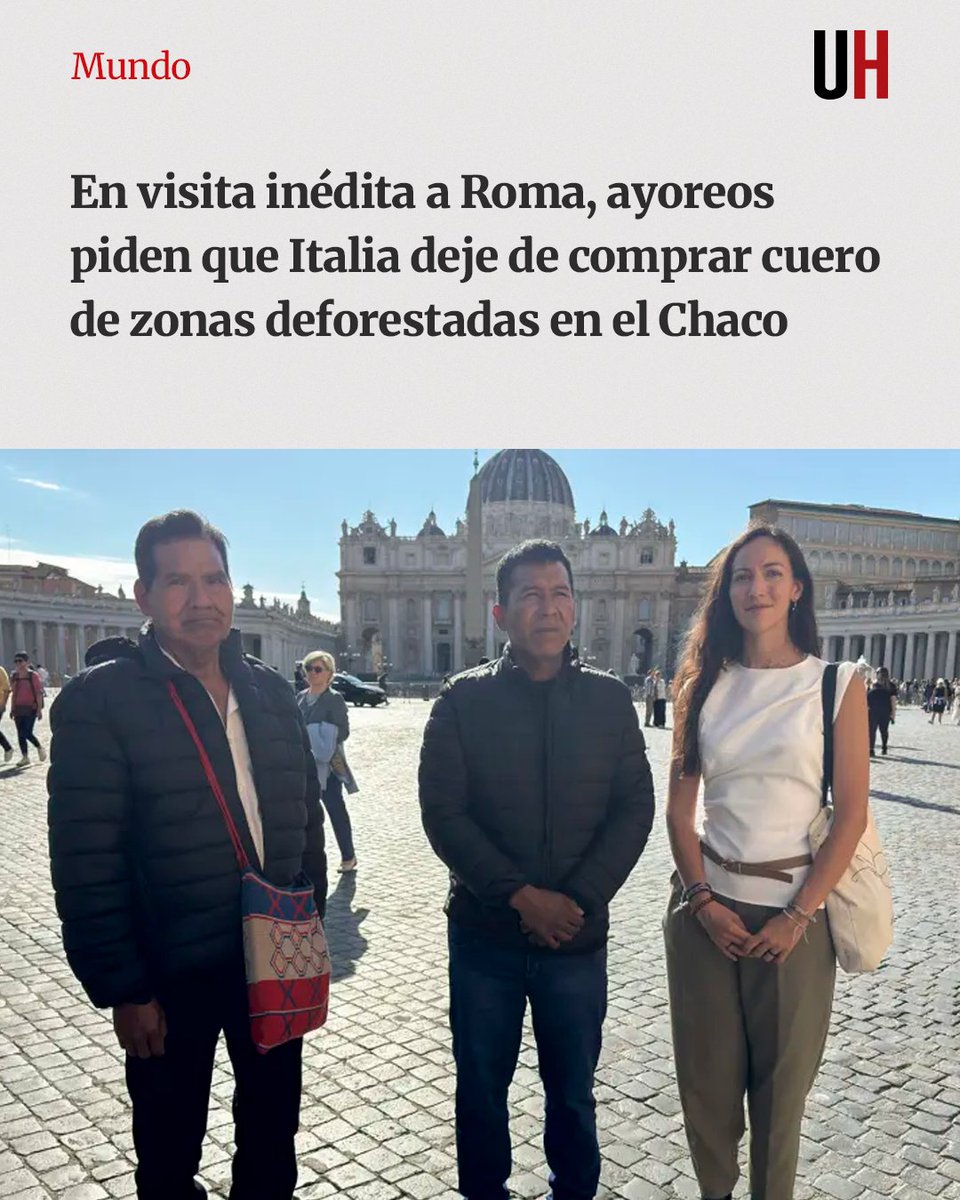 Última Hora tweet media