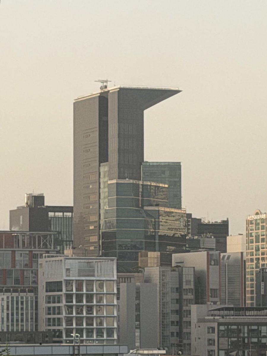 本多@上海 tweet media