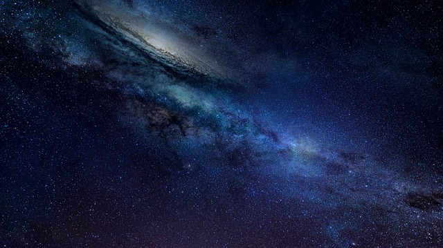 Samand Nguyen tweet media