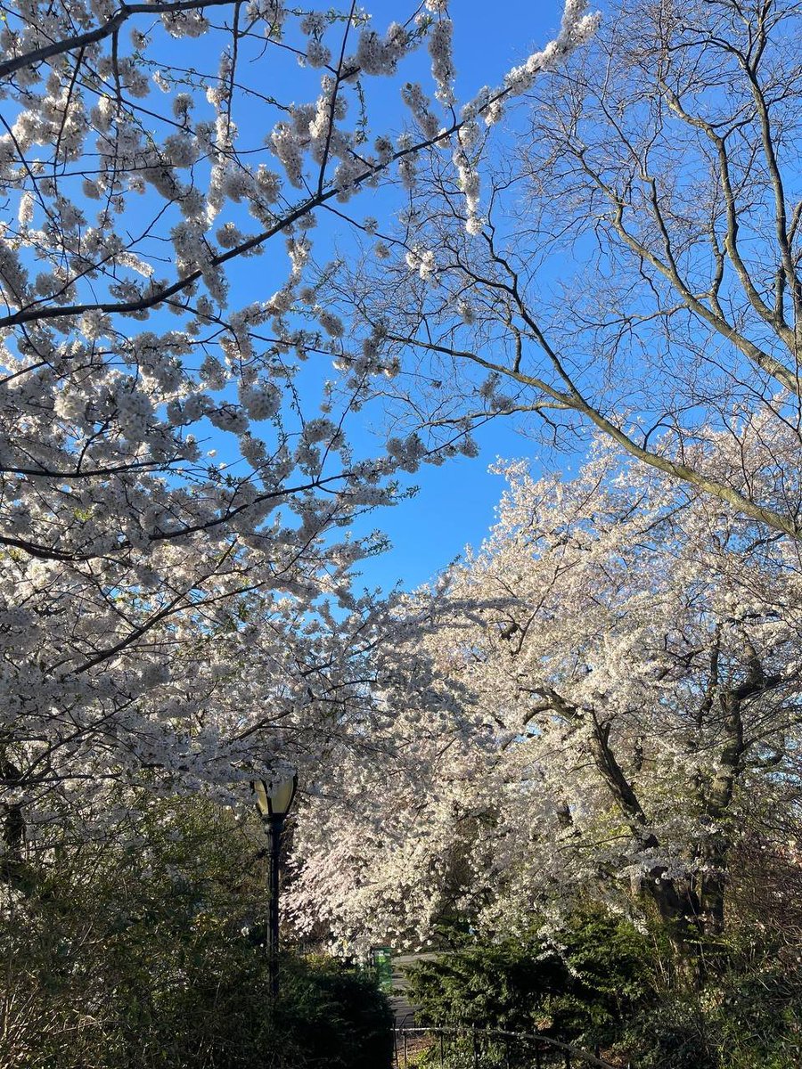 Camille2358's tweet photo. Sharing the Beauty of Spring https://t.co/lSPXKIFveH