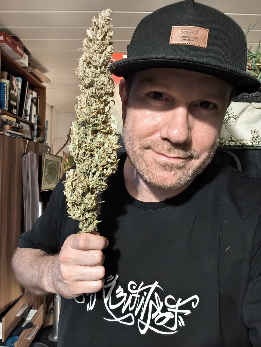 GrowAutoflowers's tweet photo. Happy 4/20 y'all!!๐๐๐จ๐จ๐จ
This is a 35cm Sativa Spear, the main cola from my latest partial harvest of the Orange Sherbert Auto from @Fast_Buds - my highest yielding auto to date @ 6.75oz's (191g's) #420 #fastbuds #growvlogs #orangesherbert #autoflower #420life #growyourown https://t.co/RPsYIyFaoU
