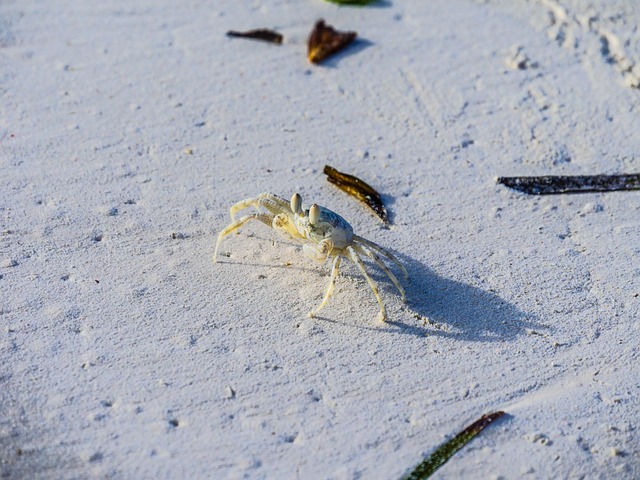 Philip Barrington tweet media