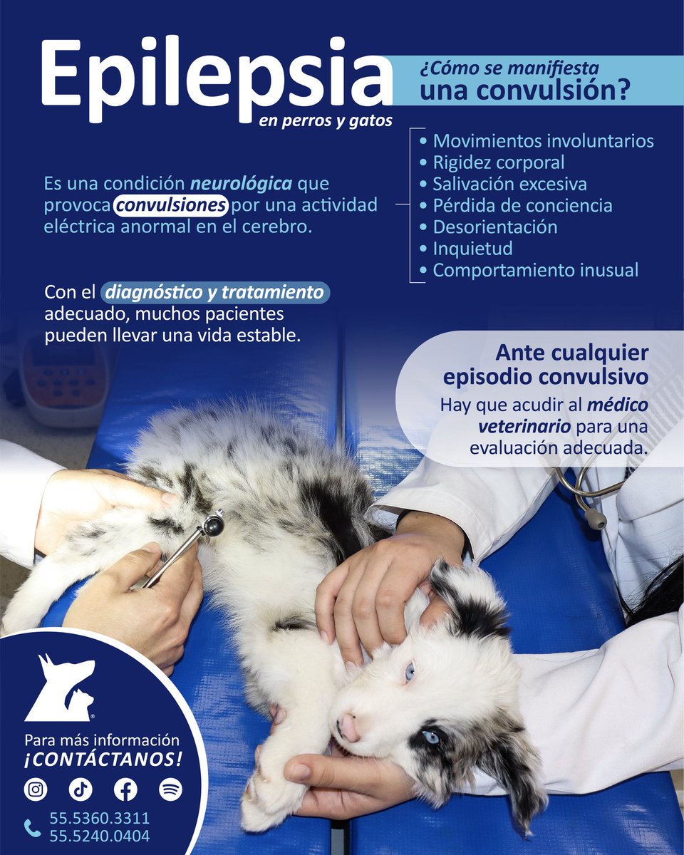 VeterinariadelBosque tweet media