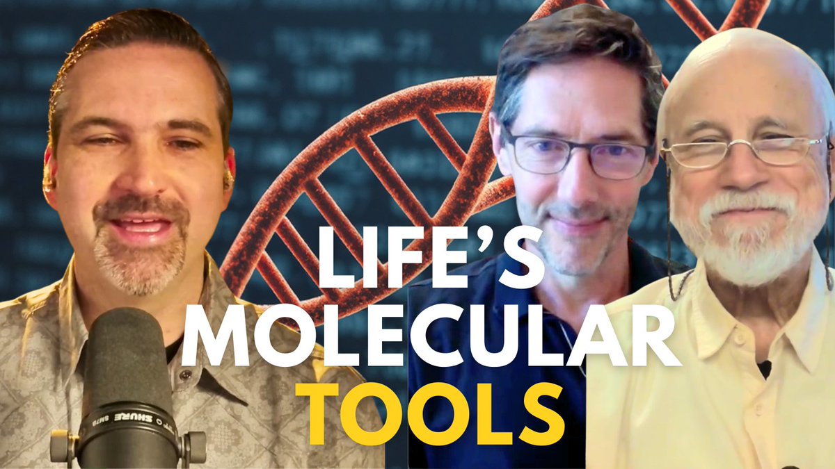 Intelligent Design The Future tweet media