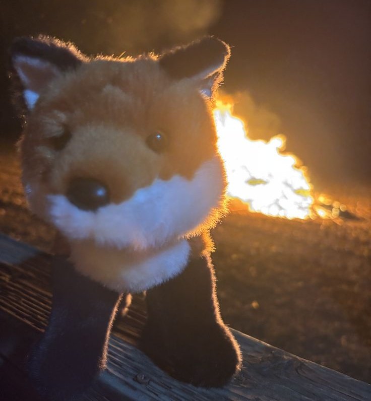 niki 🥍 jurídico kevin day tweet media