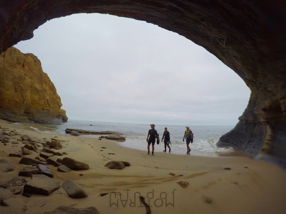 M O T T R A M tweet media