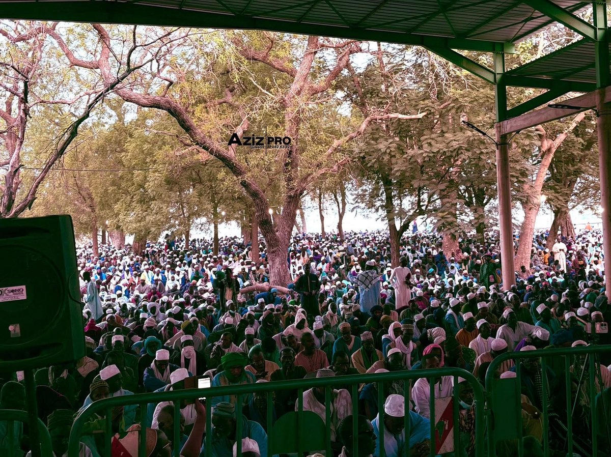 Giɗo Leňol Ngol l'Officiel tweet media