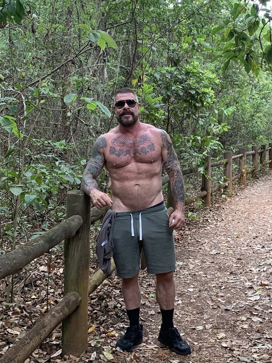 Rocco The Steel tweet media