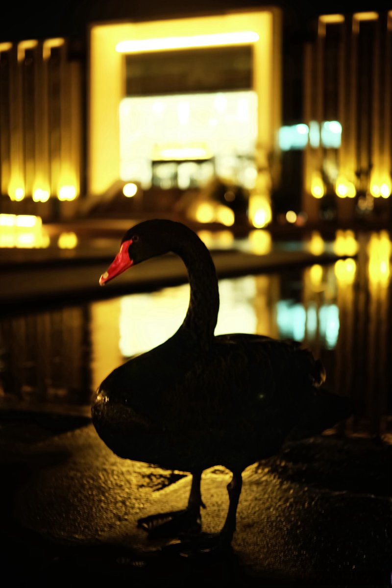 Dave Watson  tweet media