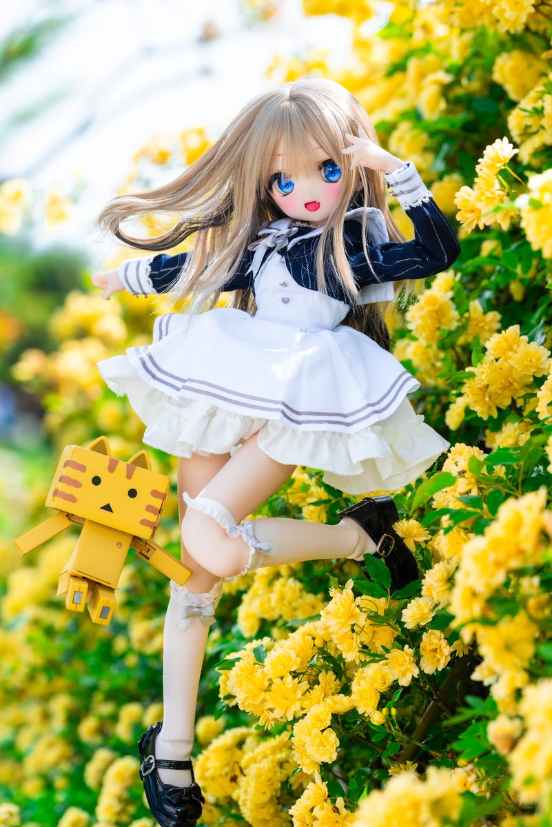 🍚しょー吉🍚 tweet media