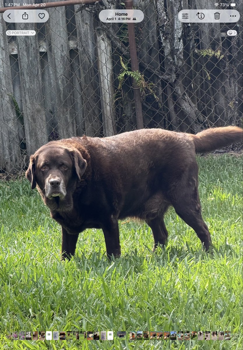 YogiandBooBoo 🐾🇺🇦 tweet media