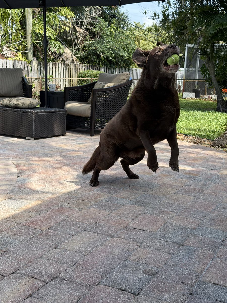 YogiandBooBoo 🐾🇺🇦 tweet media