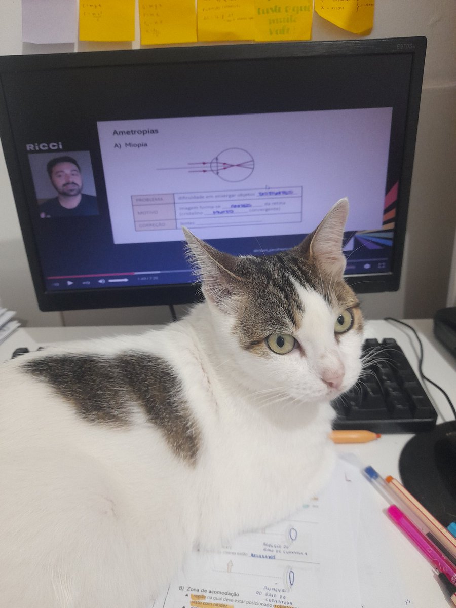 bruna🩺 tweet media