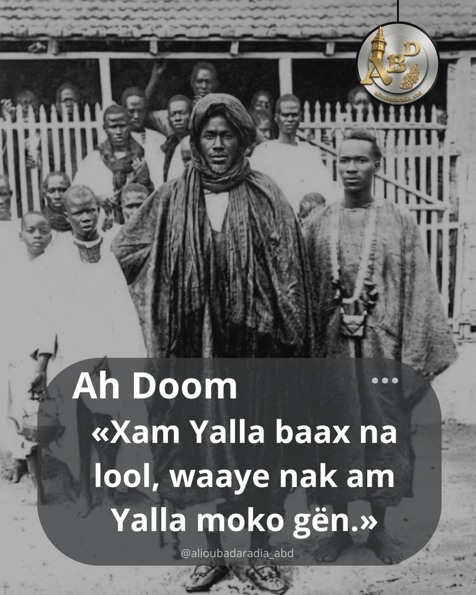 Alioubadar54685's tweet image. Ah Doom #sidybirahimfall #lamp #fall #abd