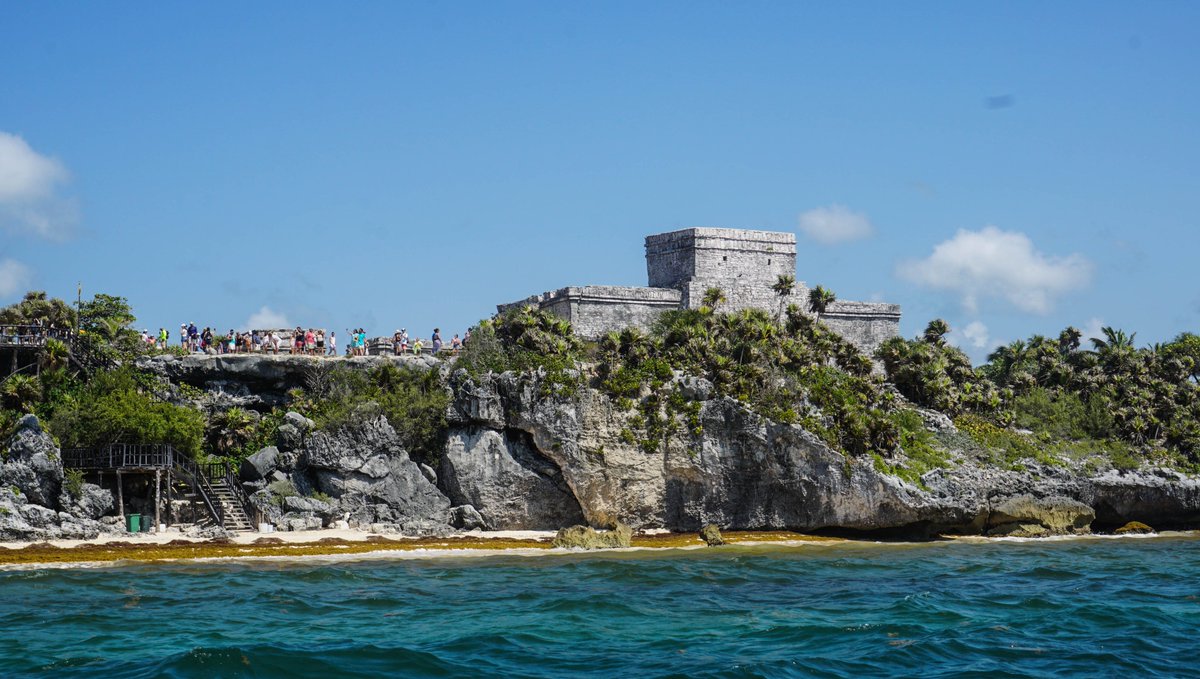 Ecotours2015's tweet photo. Snorkeling with sea turtles right in front of the ancient Tulum Castle🐢🌴✨
Two completely different worlds — the turquoise Caribbean and the mystical jungle underground — in one unforgettable day. 😃🏛️🐢🌿
Small groups, real nature, zero stress.
Who’s joining us? 😃🌴✨

  #freedive #birdwatch #ecotoursadventure #RivieraMaya #PlayadelCarmen #whale #whaleshark #whalewatching #turtles #seaturtles #cenote #tulum #Tours