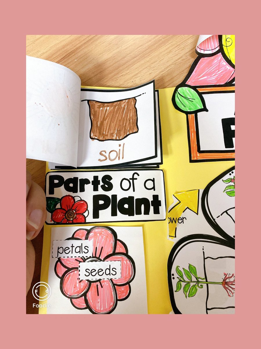 huma afreen tweet media