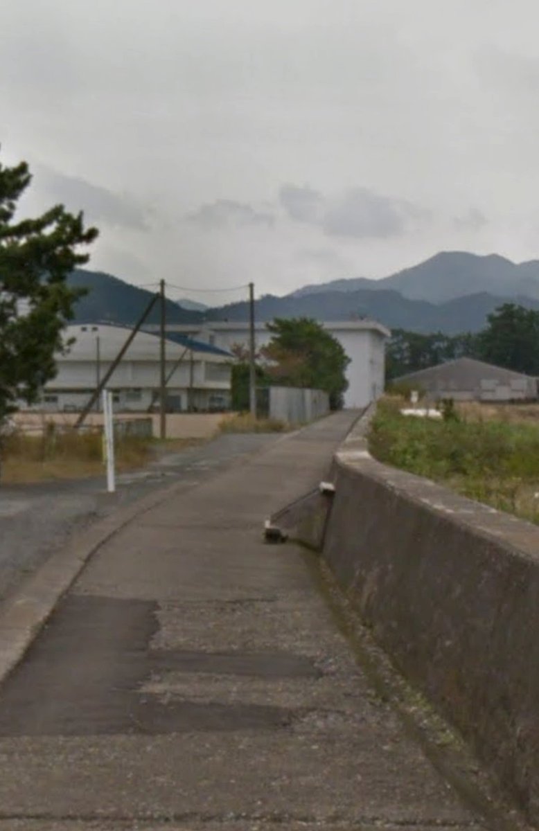 イカ飯フライ丼定食 tweet media