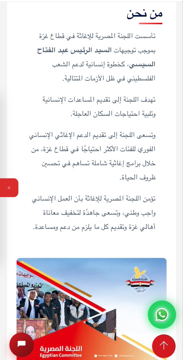 Sherin Helal tweet media