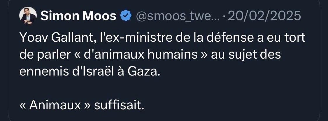 Nadège Abomangoli 🐢 tweet media